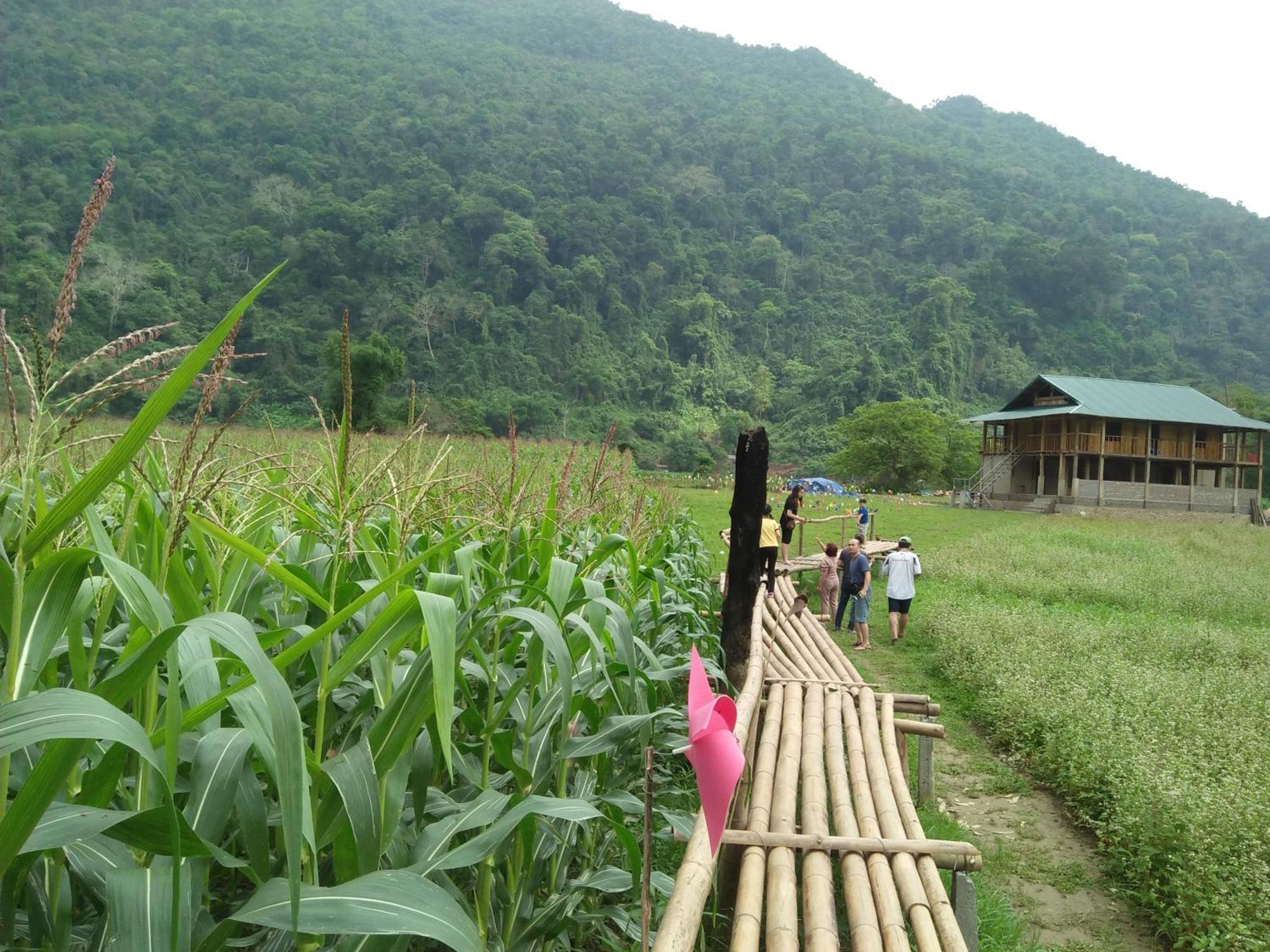 Tran Xuan Homestay Ba Be Exterior photo